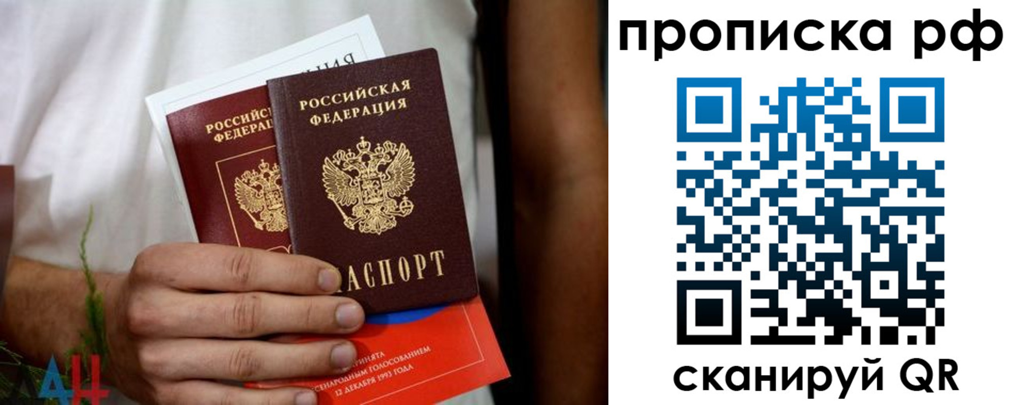 прописка 2025 в Щиграх